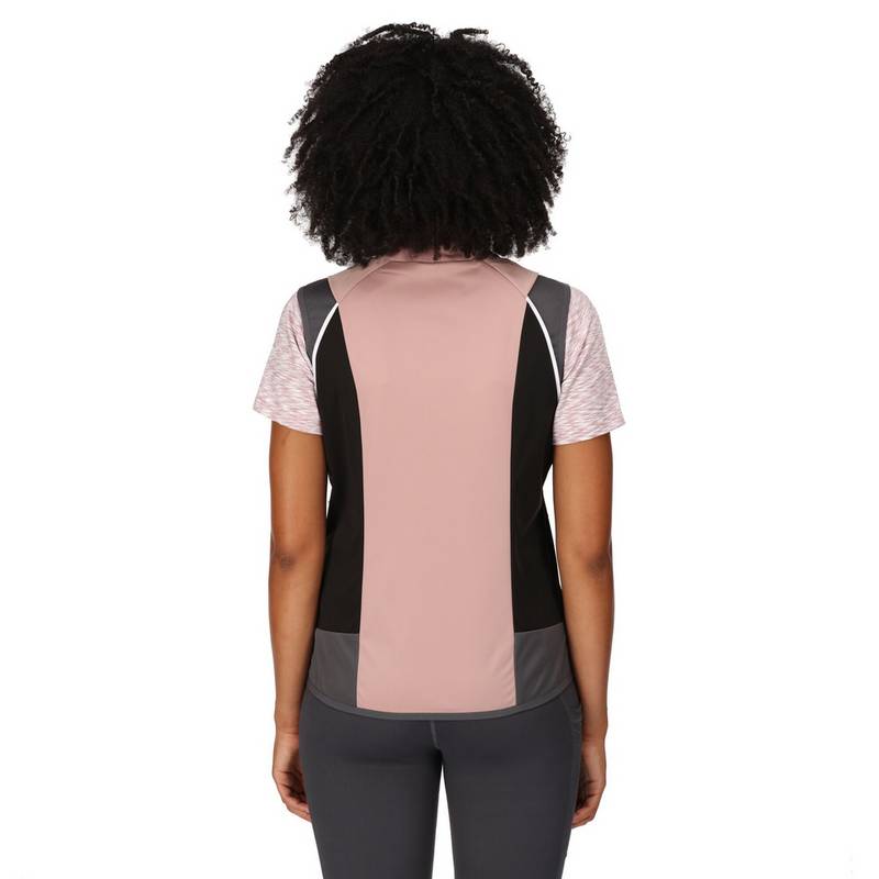 Regatta Steren Outdoorjacke Damen