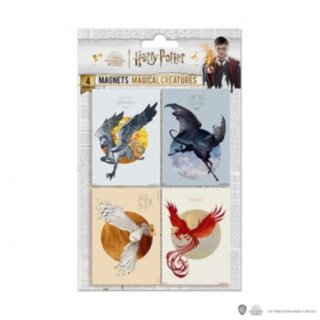 Set of 4 Magnets Magical Creatures - Harry Potter