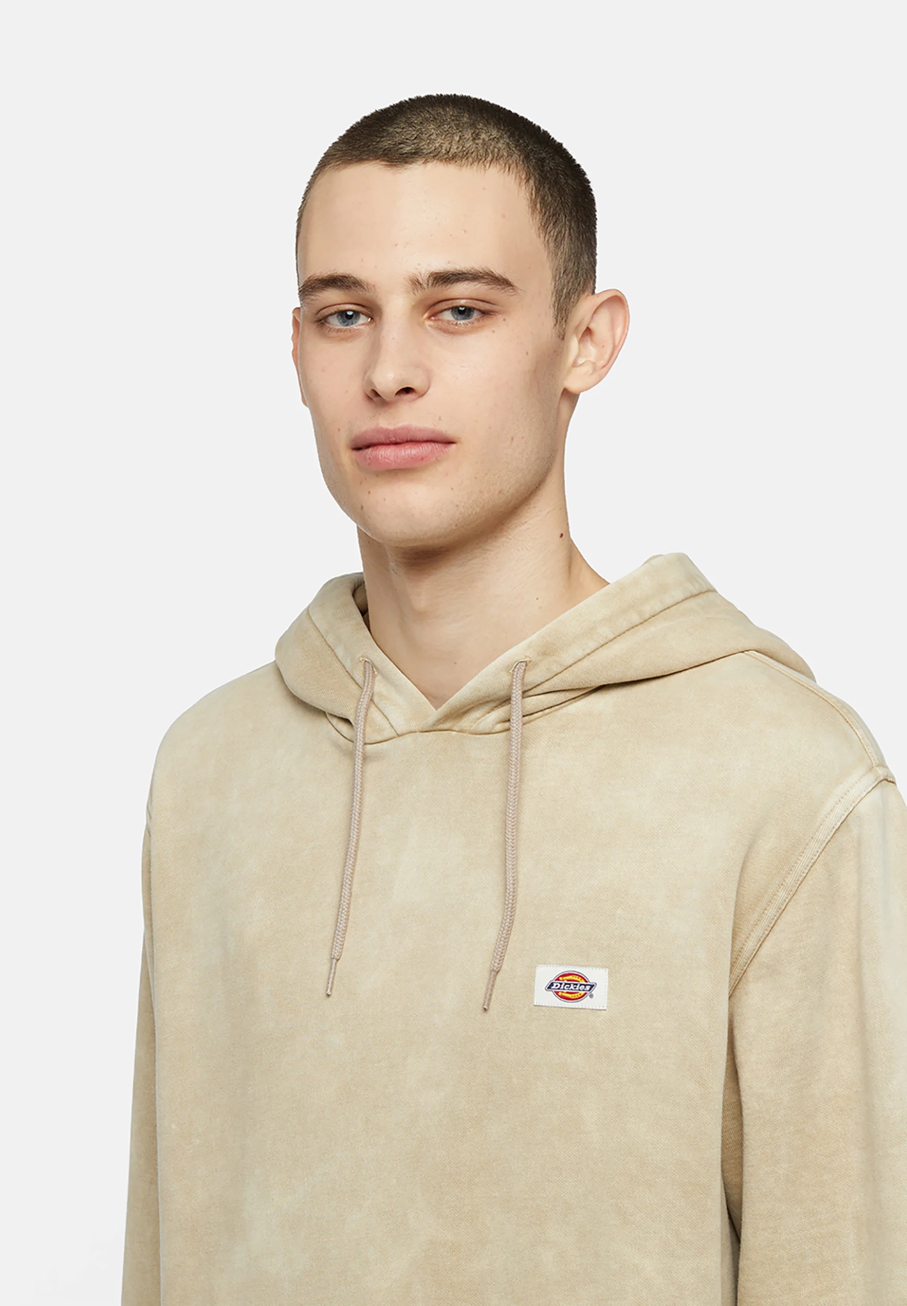 Dickies NEWINGTON - Sudadera con capucha