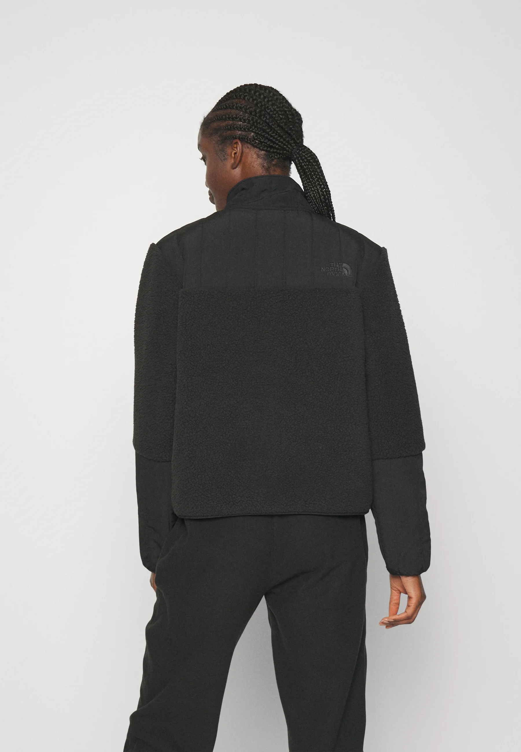 The North Face CRAGMONT JACKET - Chaqueta polar