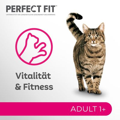 Perfect Fit Mixpack