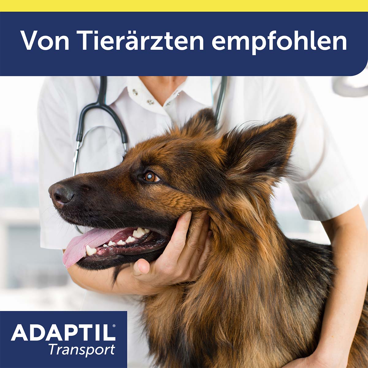 Pheromonspray zur Entspannung bei Hunden in Transportsituationen.
