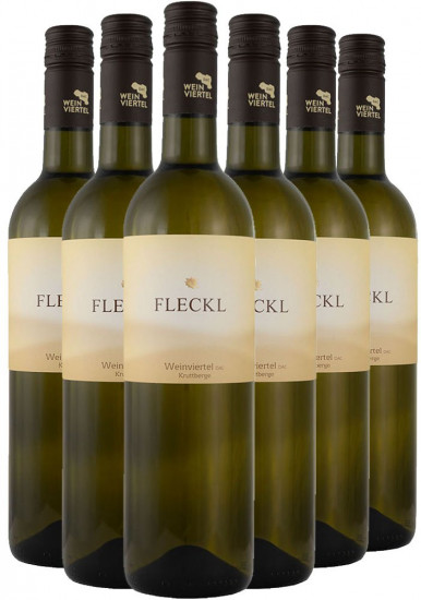 5+1 2022 Weinviertel DAC Grüner Veltliner trocken - Fleckl