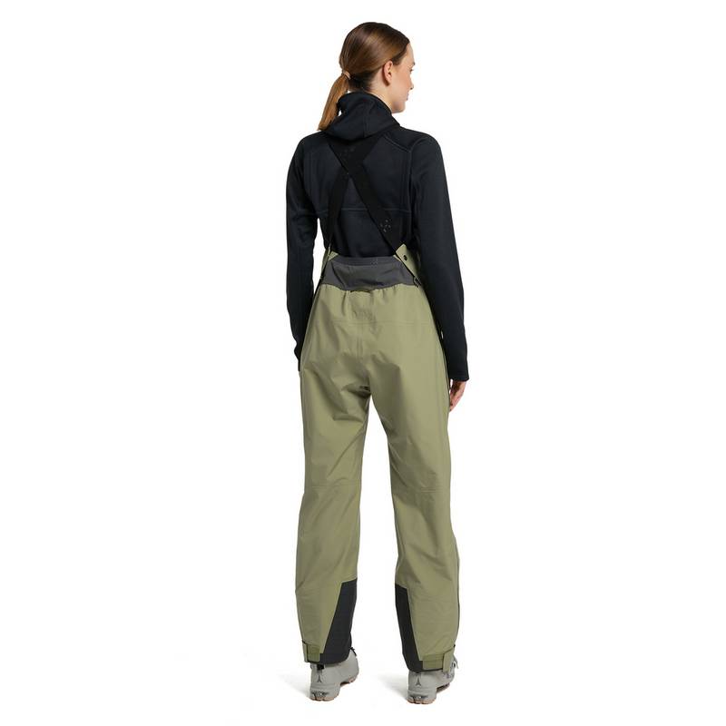 Haglöfs Vassi GTX Pro Pant Funktionshose Damen