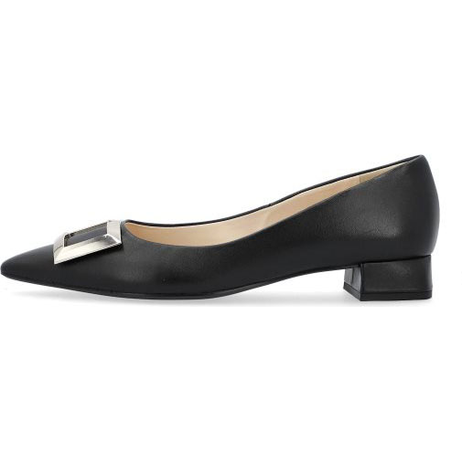 Högl Pumps