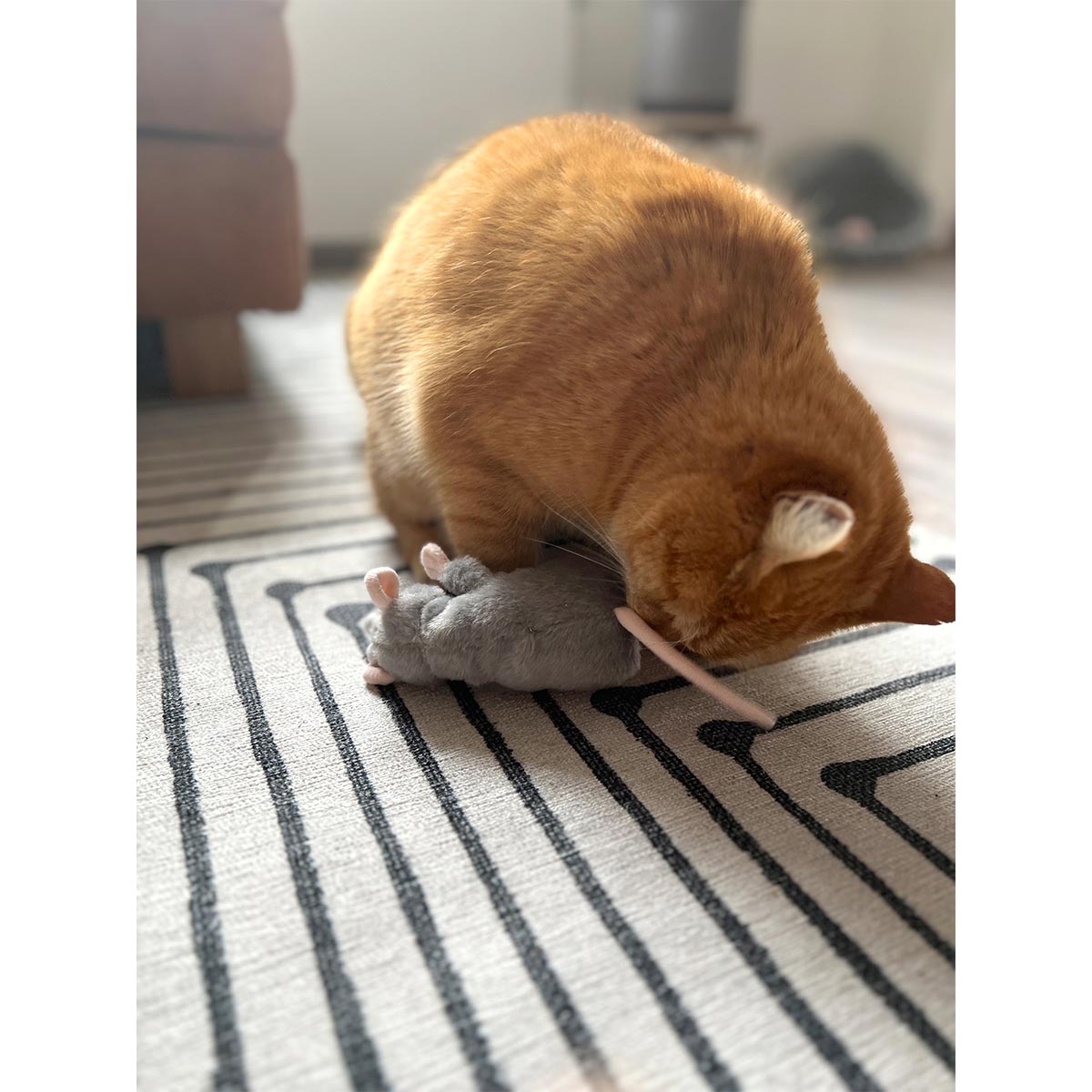 Aumüller Katzenspielkissen Ratte Cedric kaufen