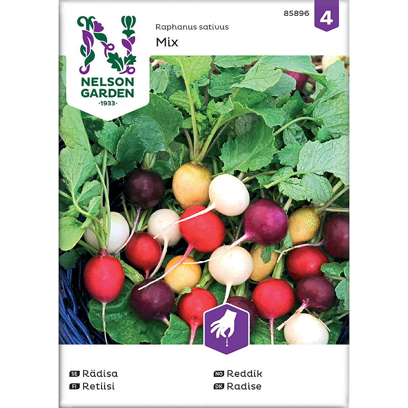 Nelson garden Frø Reddik mix, Purp. Pink, Albena, Zlata