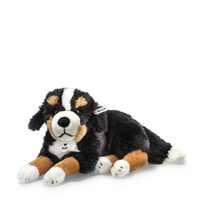 Senni Berner Sennenhund, 45 cm, schwarz