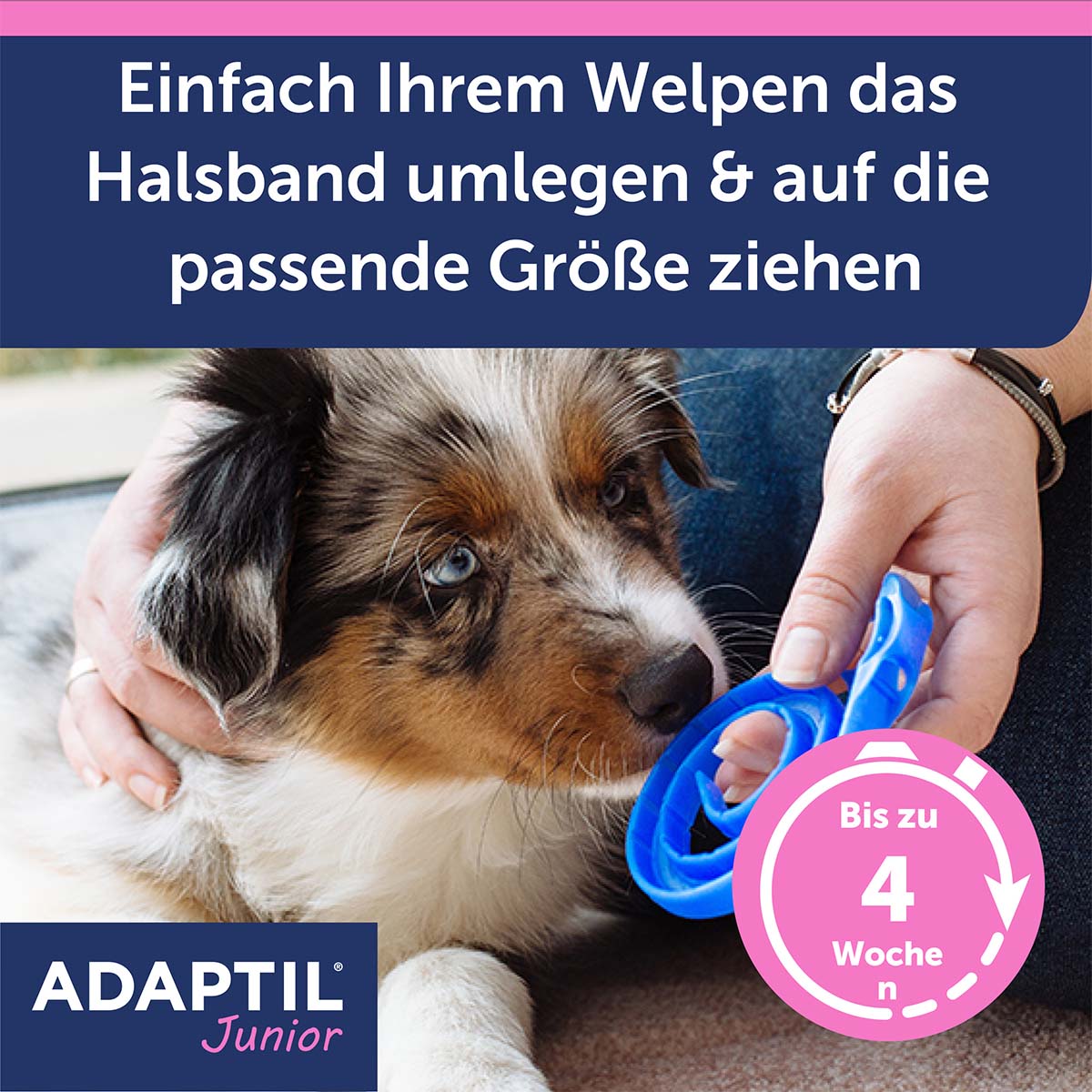 Adaptil Junior Halsband günstig kaufen bei ZooRoyal