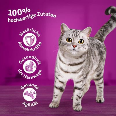 Jumbopack Whiskas Senior Frischebeutel 144 x 85 g