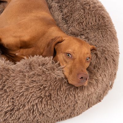 TIAKI Kuschelbett No Stress, beige