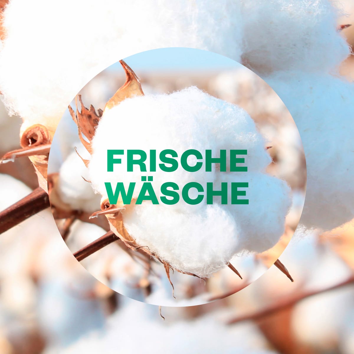 Lufterfrischer für Bad & kleine Räume Frische Wäsche, 75 ml