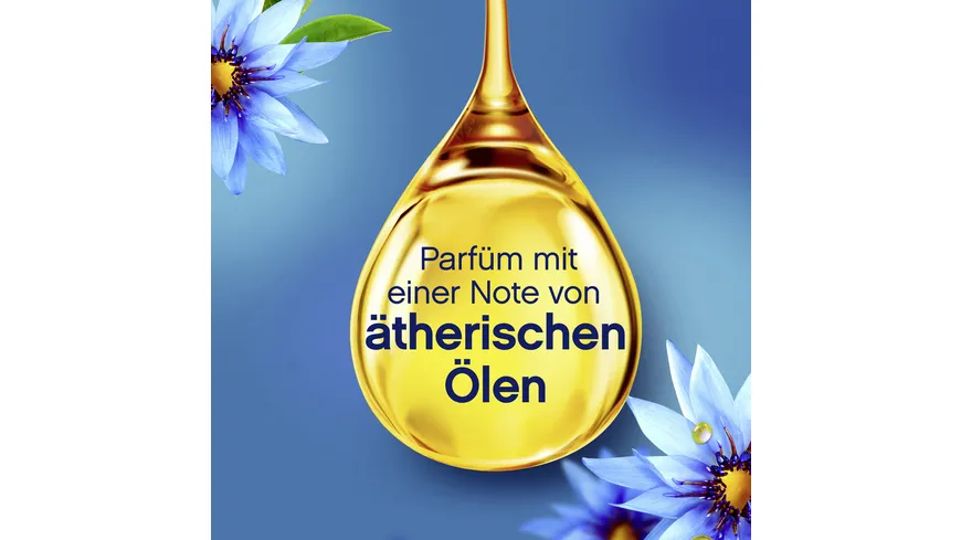 Lenor Balance Wohlfühl Kollektion Weichspüler 800 ml