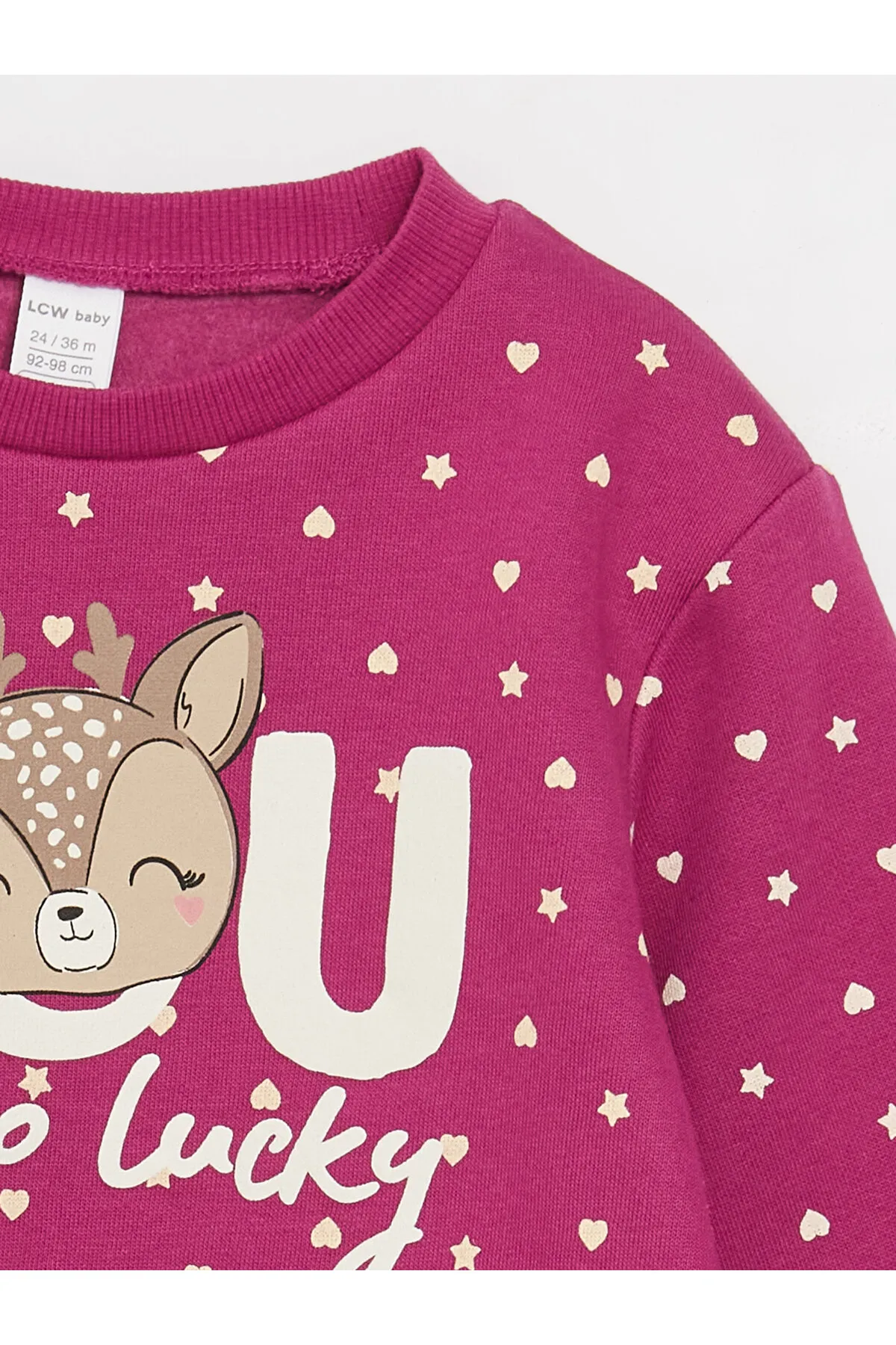 LC Waikiki  Langarm-Sweatshirt mit Rundhalsausschnitt und bedrucktem Baby-Mädchen-Sweatshirt im 2er-Pack