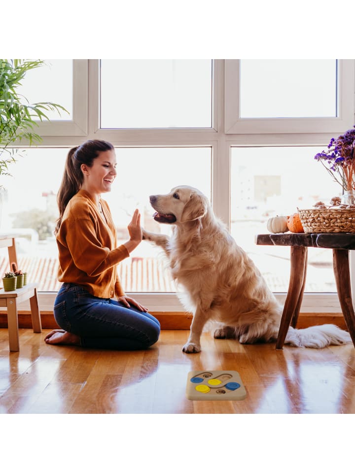 relaxdays Hunde-Intelligenzspielzeug in Mehrfarbig günstig kaufen onesize