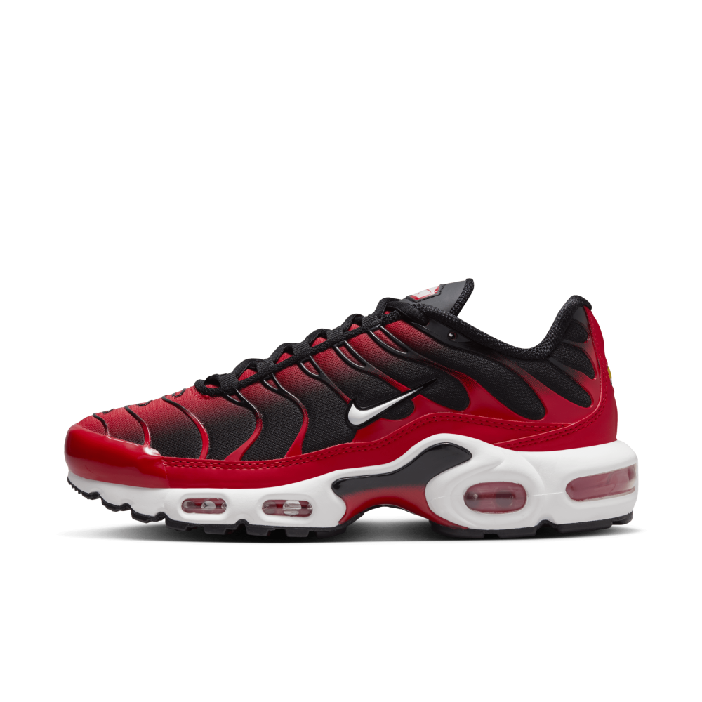Nike Air Max Plus FV0950-600 / rot