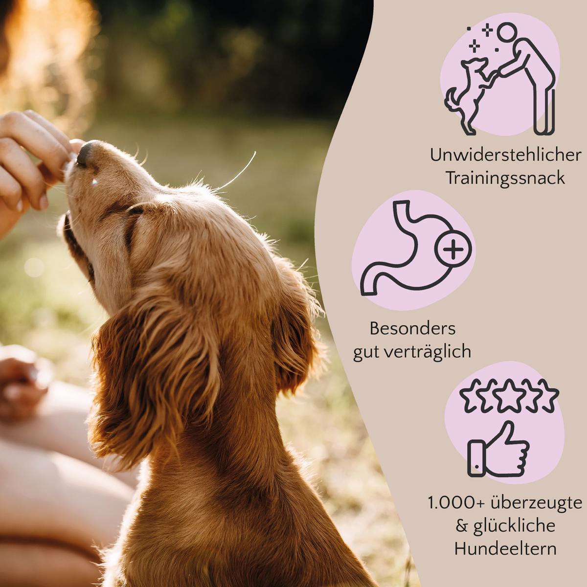 FAVLY Petfood Snacks FAVLY Petfood PURE Bites Pferd 720 g