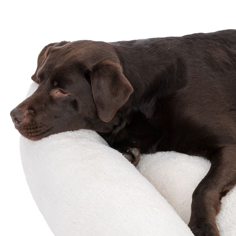 TIAKI Hundebett Lazy Bear, ecru zu TOP-Preisen