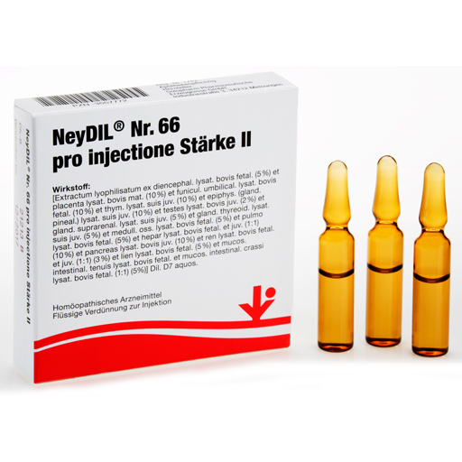 NEYDIL Nr.66 pro injectione St.2 Ampullen  5X2 ml  Ampullen