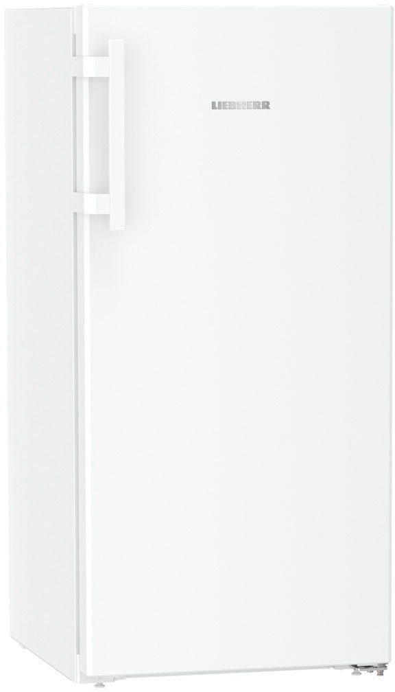 Liebherr Kühlschrank RBa 4250-20, 125,5 cm hoch, 59,7 cm breit, mit BioFresh