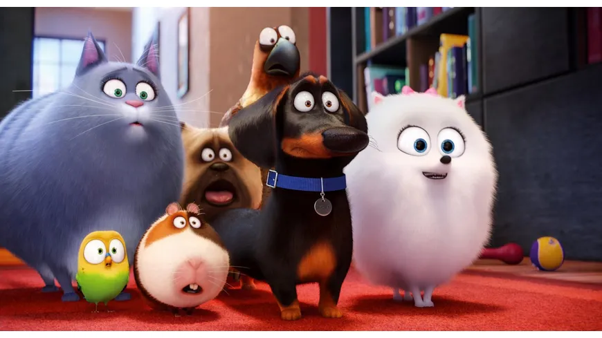 Pets (Illumination)