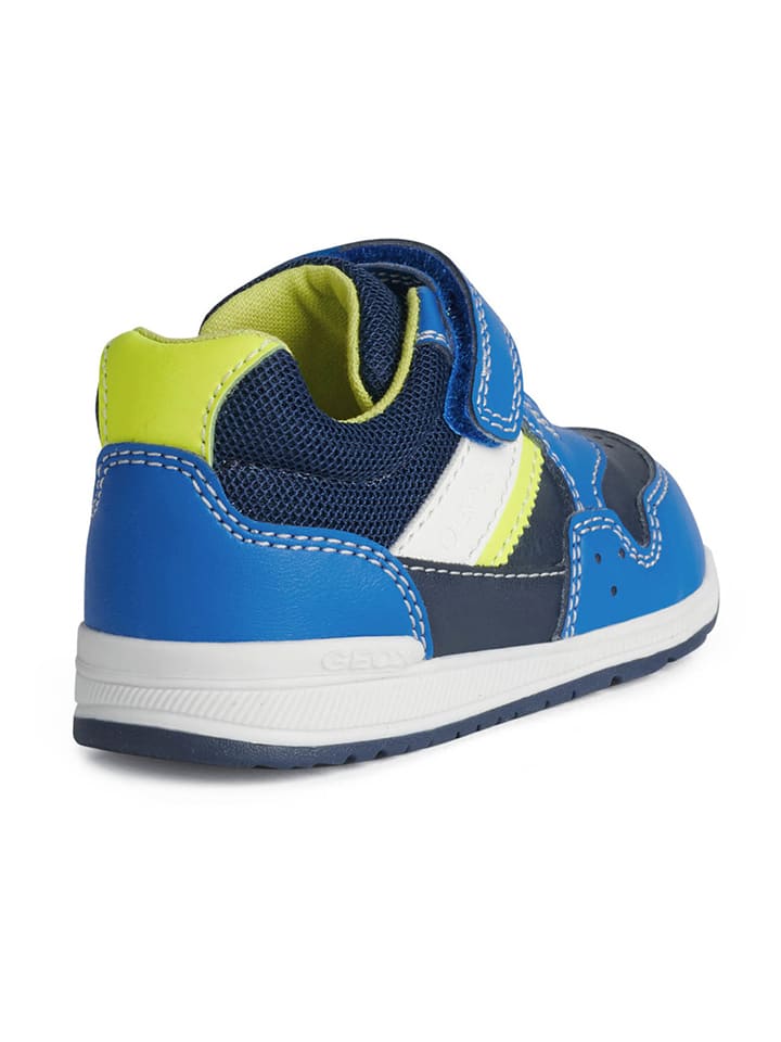 Geox Sneakers 