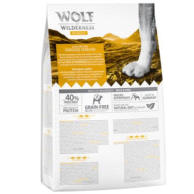 Wolf of Wilderness 