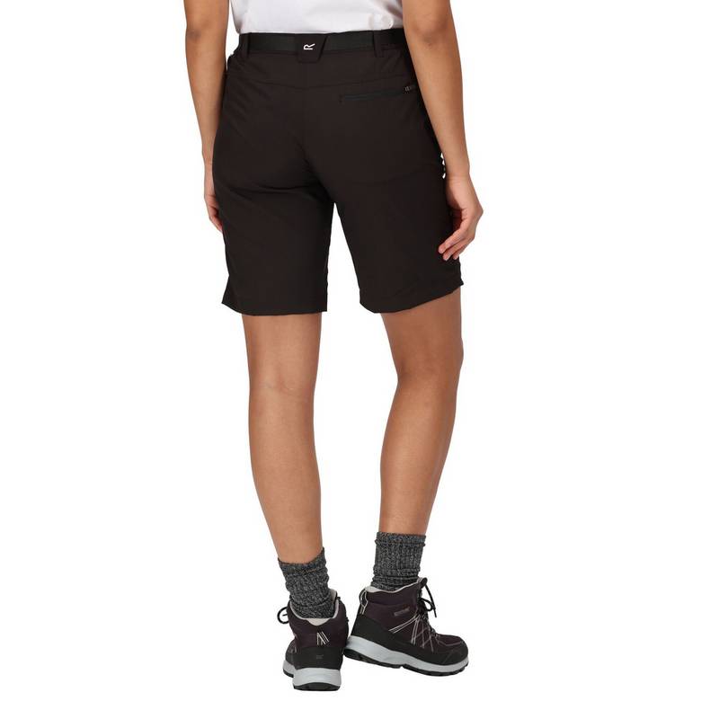 Regatta Xert It Shorts Damen