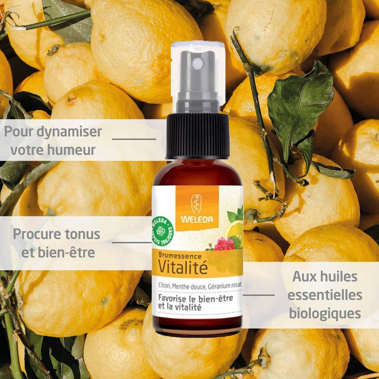 Weleda Brumessence® Vitalité Parfum d'Ambiance Énergisant - 100 % Bio - 50 ml