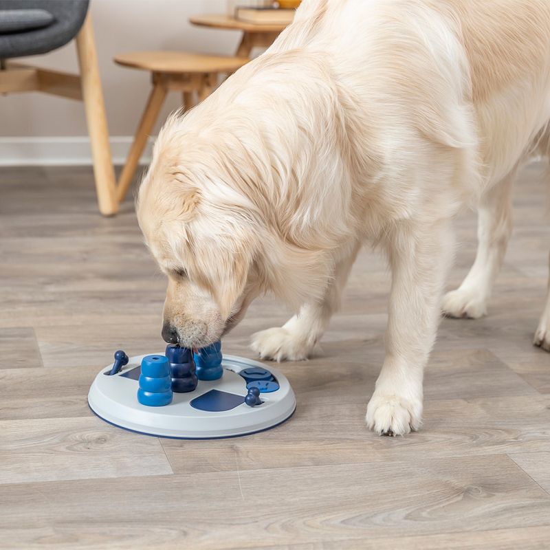 Trixie Intelligenzpielzeug Dog Activity Flip Board