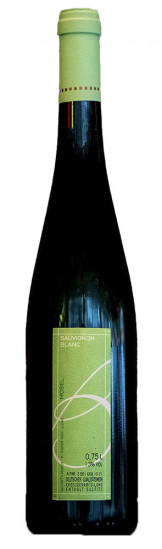2019 Sauvignon Blanc - Weingut Beckers