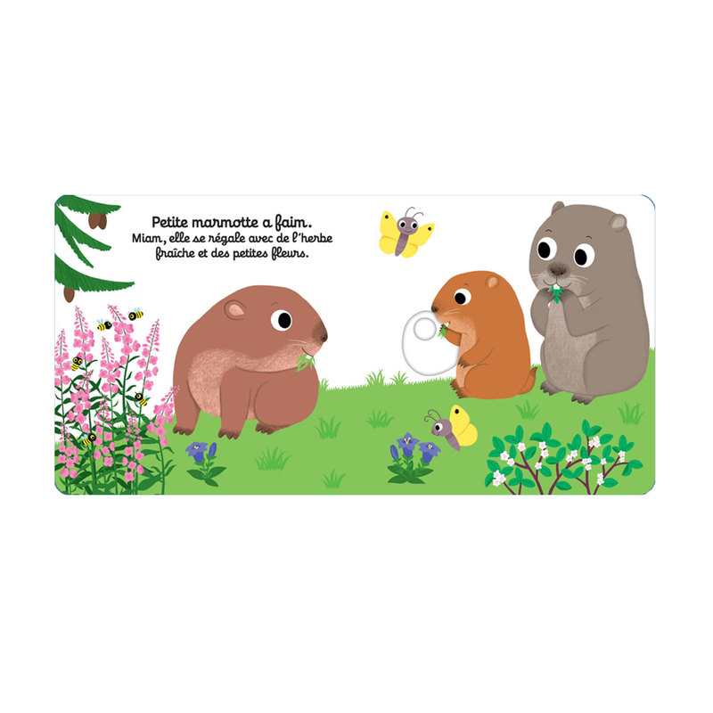 Livre Bonne nuit petite marmotte - Nathan Jeunesse