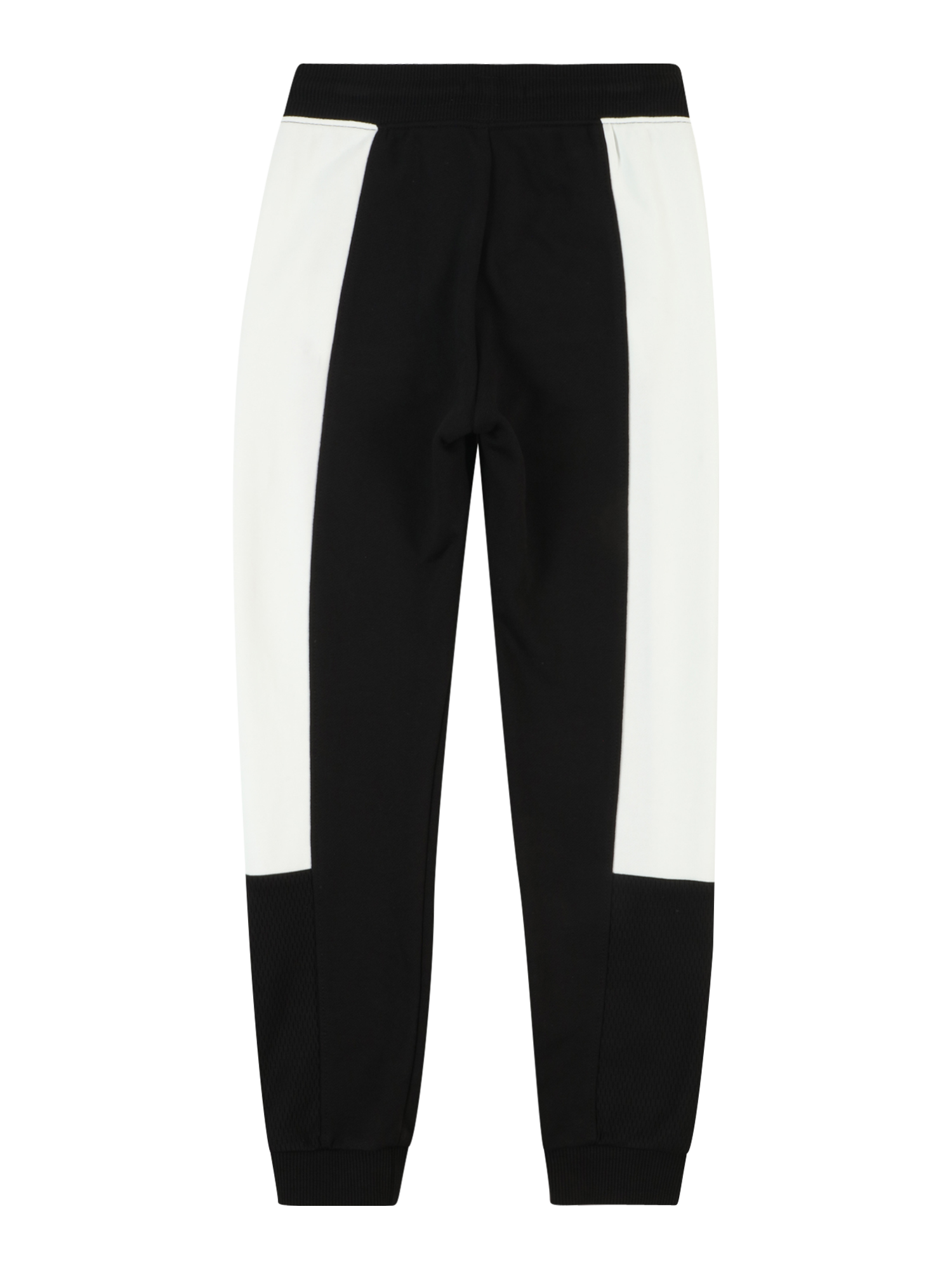 Tapered Pants