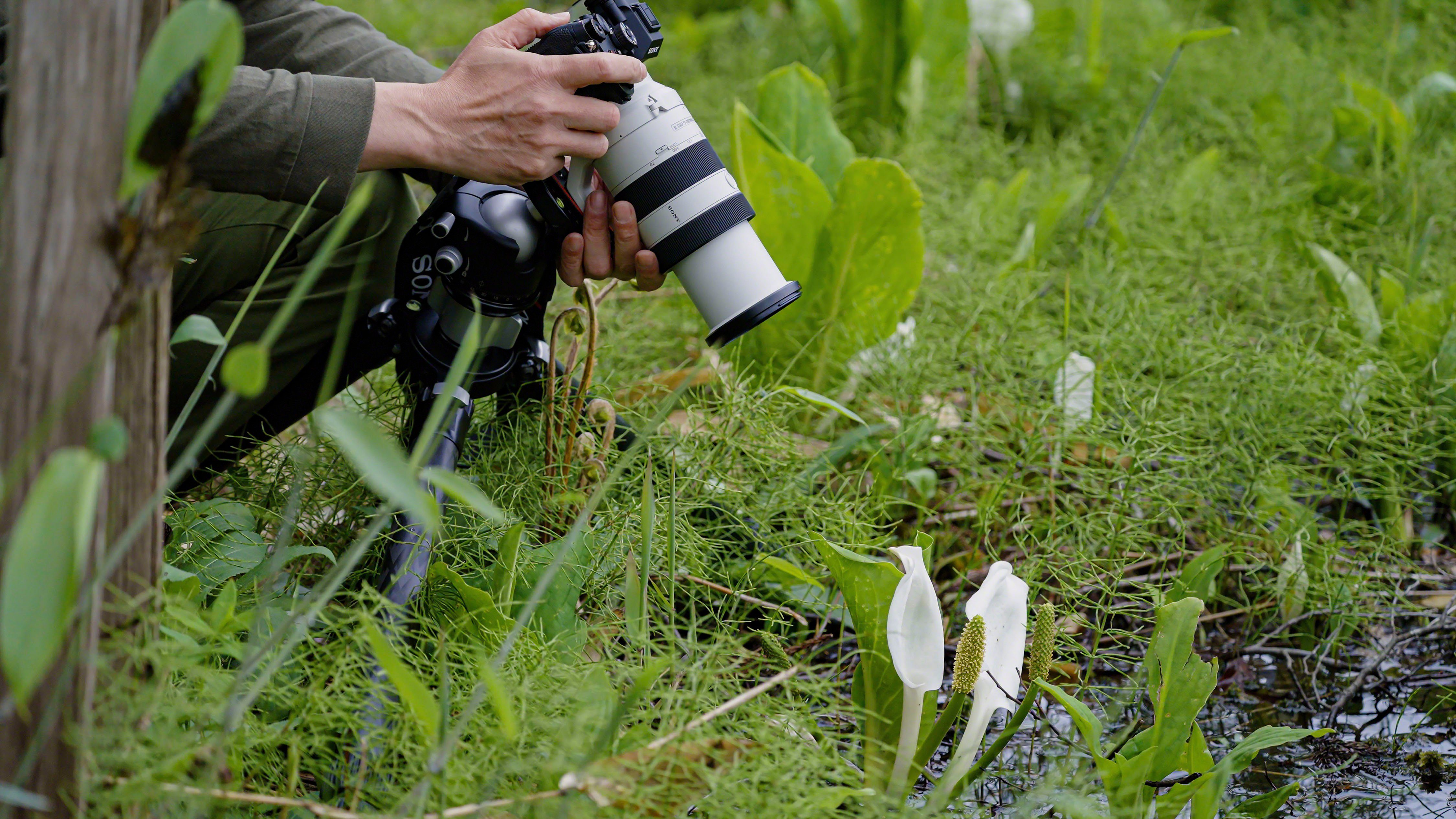 Sony FE 70–200 mm F4 Makro G OSS Ⅱ Objektiv