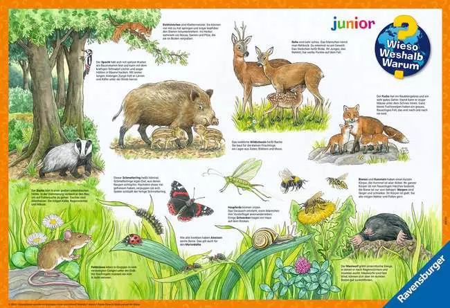 Kinderpuzzle ab 3 Jahren - Wieso? Weshalb? Warum? Tiere im Wald und auf der Wiese - 12 Teile