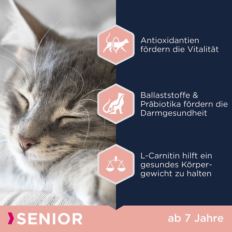 Eukanuba Top Condition 7+ Senior zu TOP-Preisen