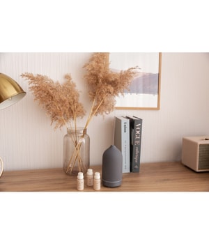 volant Grey Volant Aroma Diffusor-100 ml