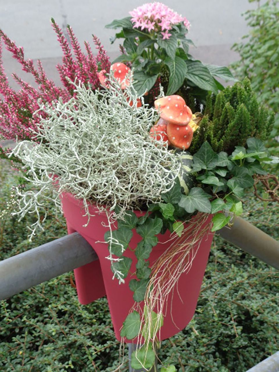 KHW Geländerblumentopf Flowerclip, 3er Set, beere