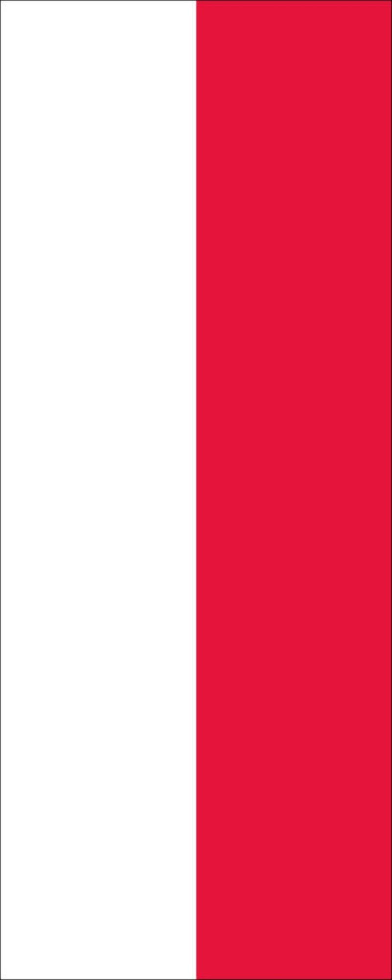 flaggenmeer Flagge Flagge Thüringen 110 g/m² Hochformat