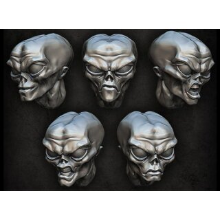 Gray Alien Heads (5)