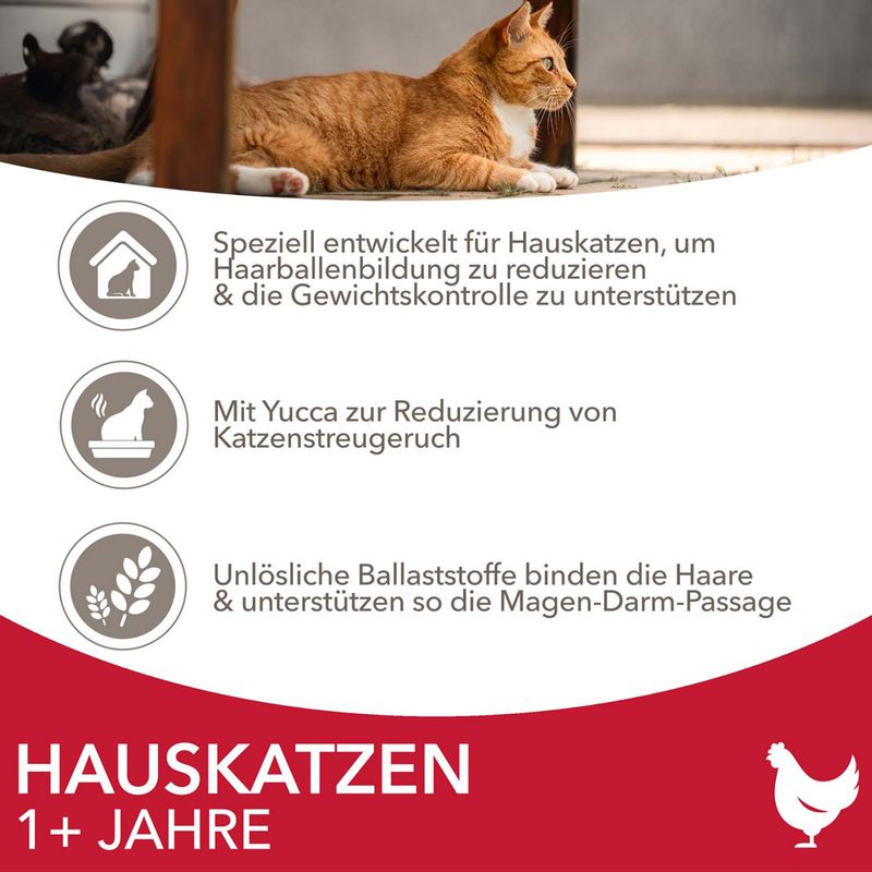 IAMS Advanced Nutrition Indoor Cat mit Huhn