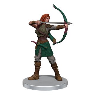 Magic The Gathering Miniaturen vorbemalt Adventures in the Forgotten Realms Companions of the Hall (EN)