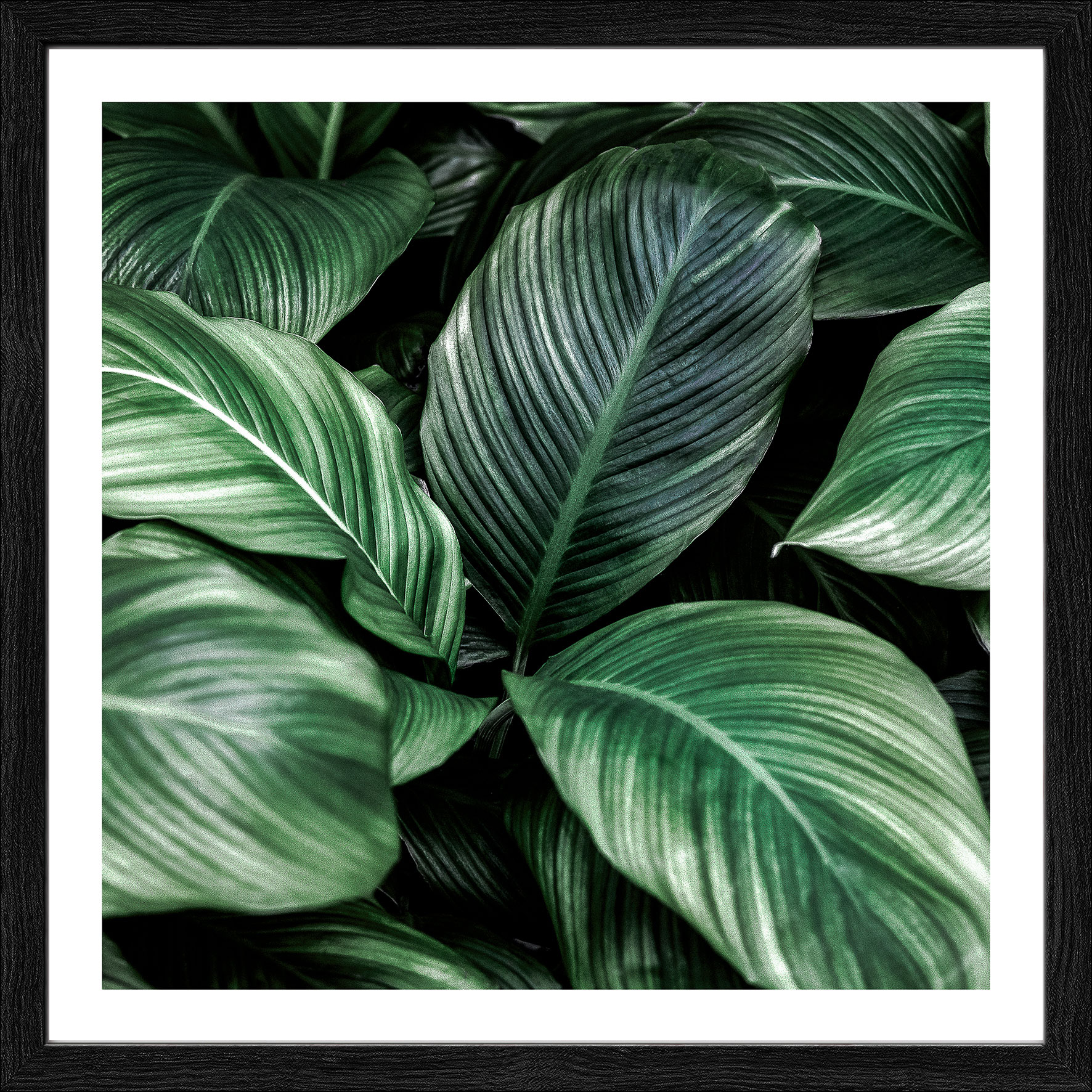Pro ArtKunstdruck gerahmt 28x28cm