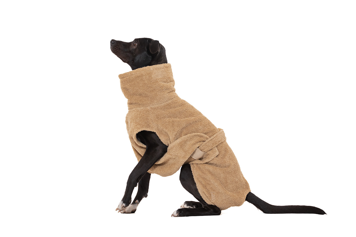 Lills Hundemäntel Lills Lill's Hundebademantel 