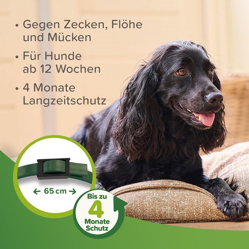 Beaphar Floh- & Zeckenmittel Beaphar Zecken- und Flohschutz Halsband für Hunde