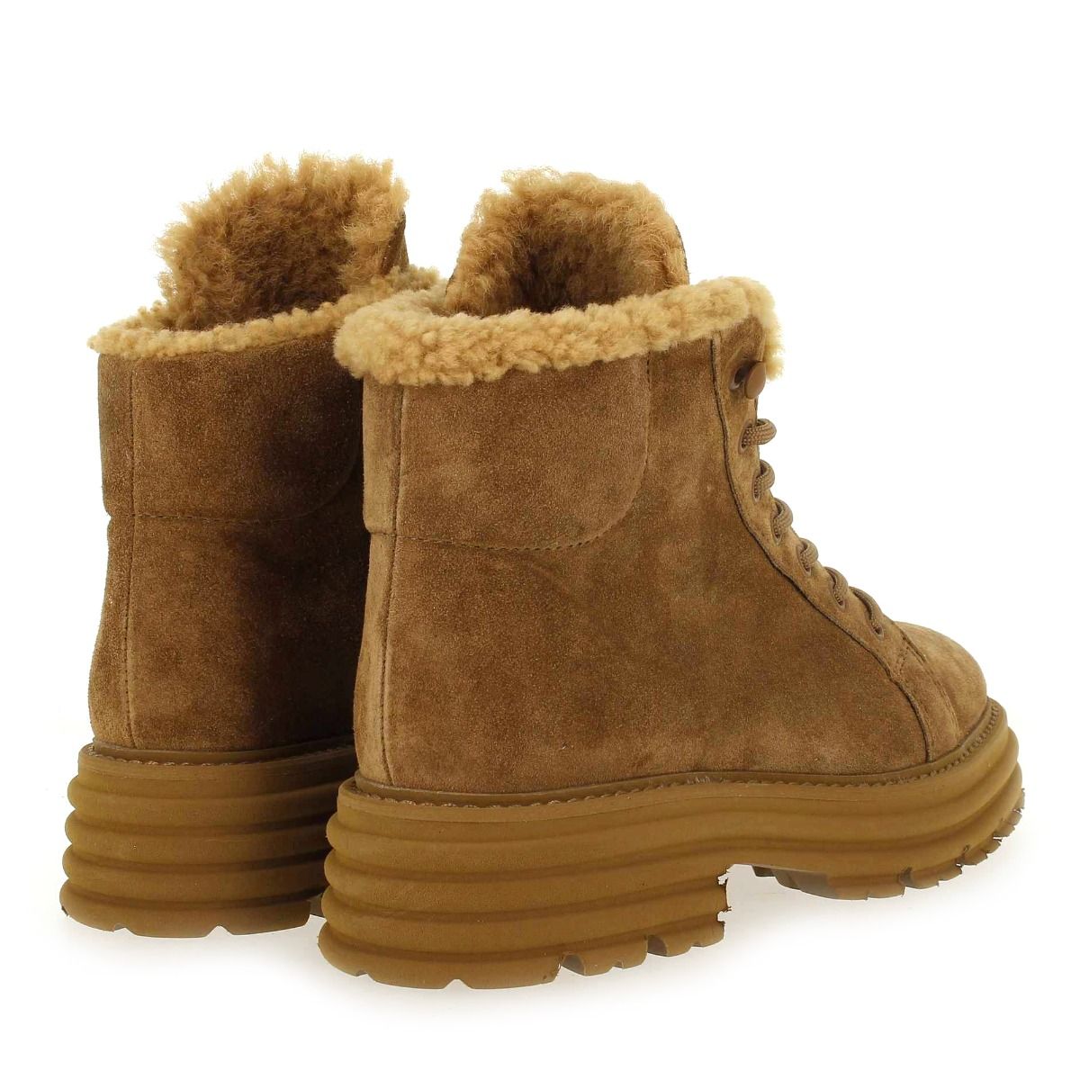Alpe  2507 - Camel