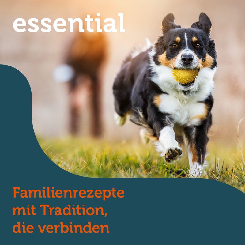 Mera essential Softdiner