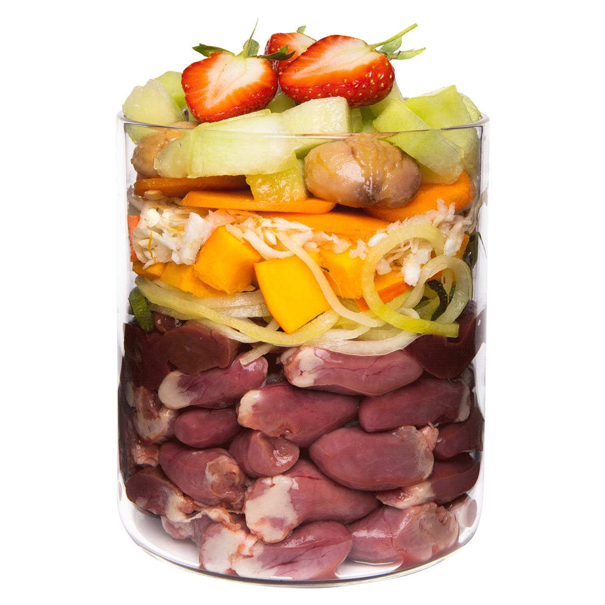 Terra Canis getreidefrei Ente mit Kürbis, Erdbeeren und Holunder