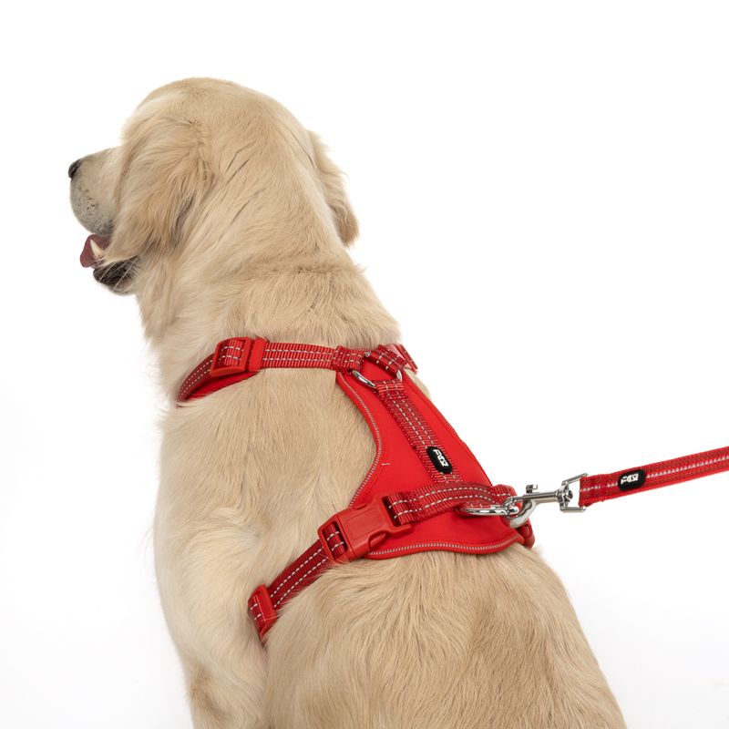 TIAKI Geschirr Neoprene, rot zu TOP-Preisen
