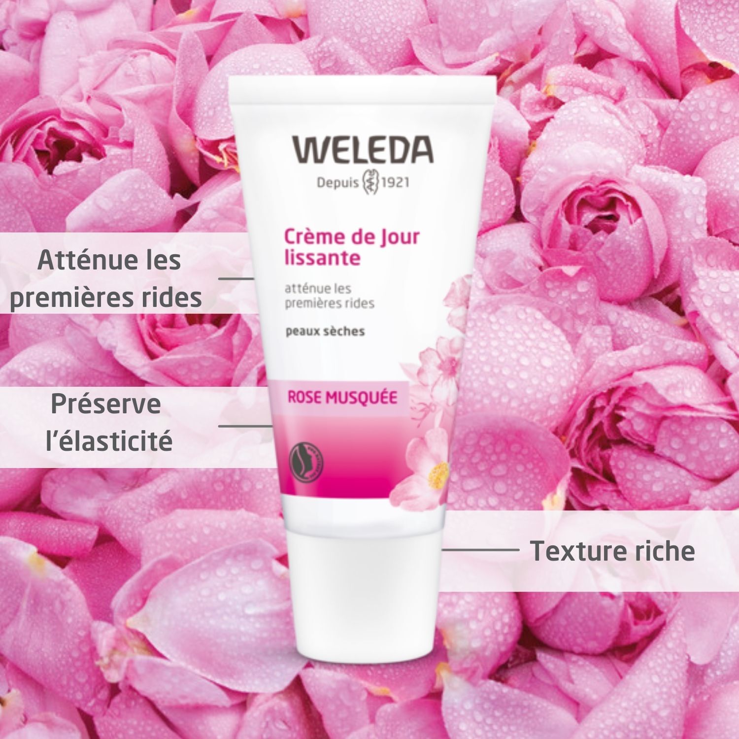 Weleda Rose Musquée Crème de Jour Lissante- Peaux Sèches - Atténue les Premières Rides - 30 ml